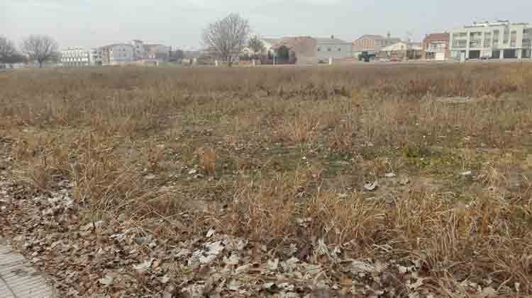 palau anglesola futur parc