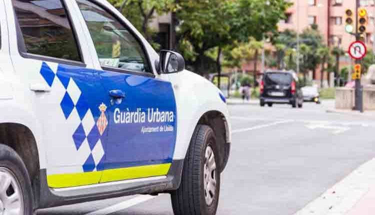 Localitzen 120 plantes de marihuana en un pis de Lleida després d'un incendi a l'edifici
