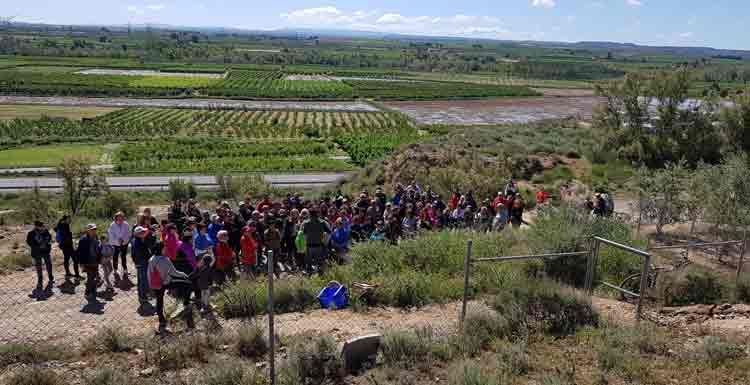 GEBUT-SOSES-CAMINADA