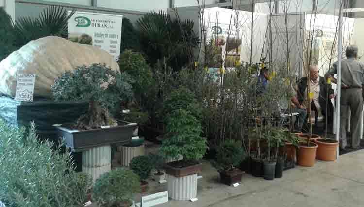 Expositor-viverisme-(arxiu)-SAN-MIQUEL.EUROFRUIT