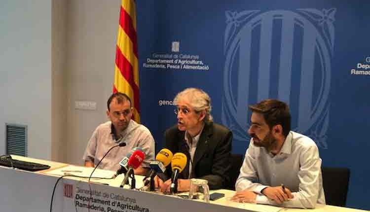 Aquests són alguns dels resultats de l’Observatori del Món Rural 2018, que, entre altres coses, realitzen una comparativa entre la demografia, l’economia, els serveis i la qualitat de vida del món rural i els espais urbans