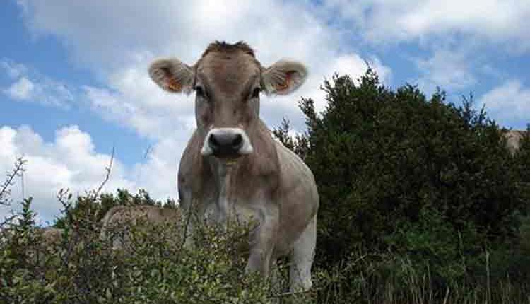 Reunió bilateral amb el secretari general del Departament d’Agricultura