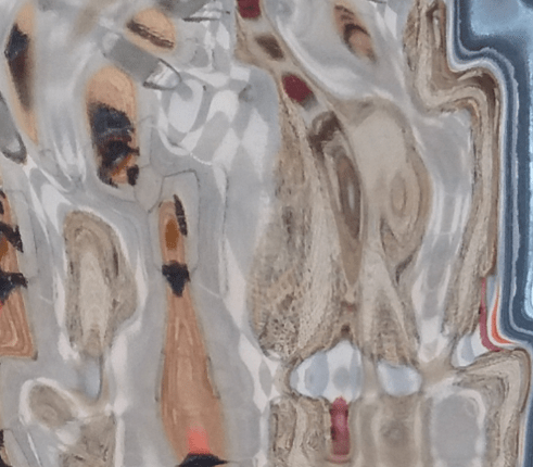 18 d'agost- Santa Elena