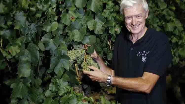 El celler de la DO Costers del Segre és un dels més primerencs d'Europa en donar el tret de sortida a la campanya, amb la seva tradicional recol·lecció del raïm manual i nocturna