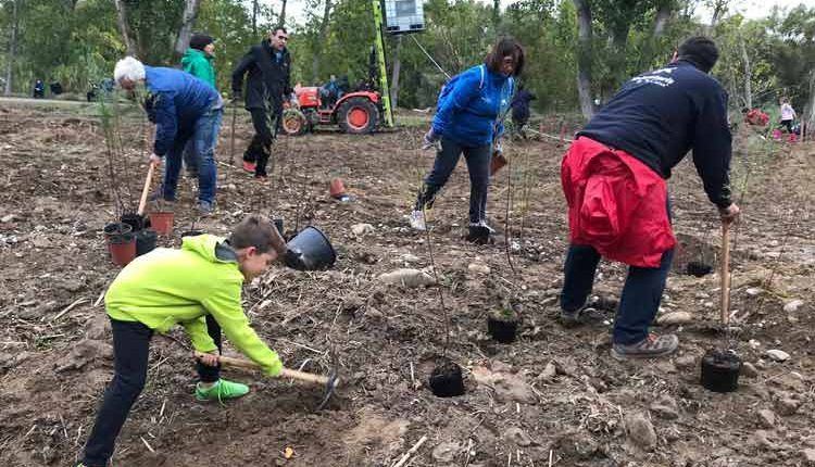 PLANTADA DE 235 ARBRES I ARBUSTOS DINS LA 1a DIADA MEDIAMBIENTAL A L’AIGUABARREIG