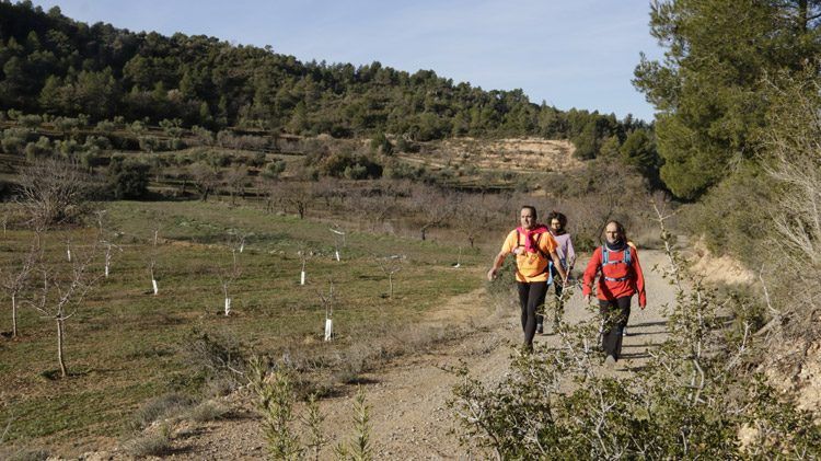 600 persones participen en la 5a Marxa de la Boira de la Granadella marcada per les gelades
