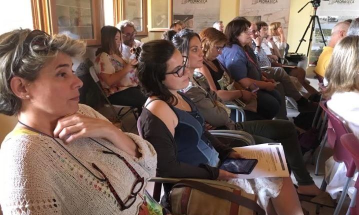 El sector de l’oli de Ponent crearà una xarxa entre productors, molins i restauració a fi de potenciar i millorar la comercialització de l’oli verge extra