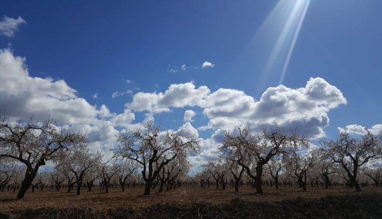 Les Garrigues, escollida entre les 13 zones turístiques del projecte europeu Med Pearls per potenciar l'Slow Tourism