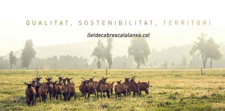 Del 26 al 29 de setembre Llet de Cabres Catalanes serà a fira de Lleida i sortejarà un gran lot de formatges certificats