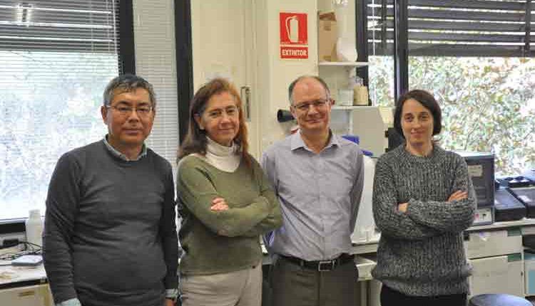 Recerca coronaviurs cat. Aplicacions potencials de la biotecnologia vegetal contra SARS CoV-2