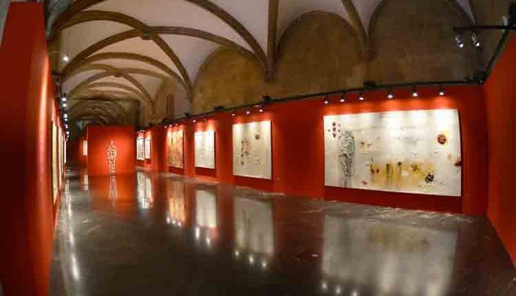 L’IEI torna a obrir al públic les sales d’exposicions