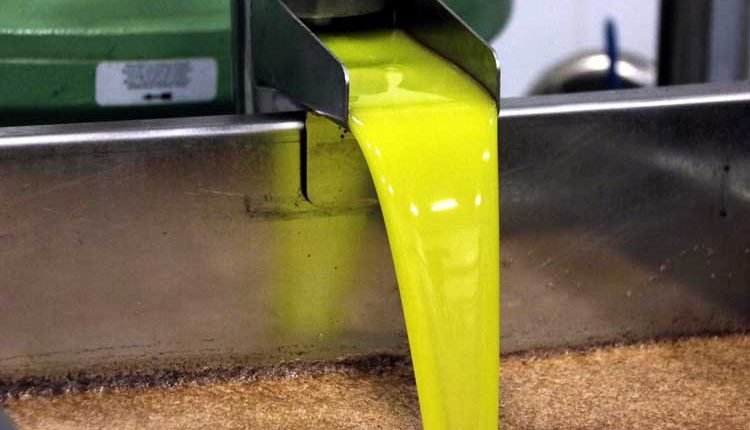 La DOP Les Garrigues confia mantenir les vendes d'oli en aquesta campanya i aconseguir nous clients en línia