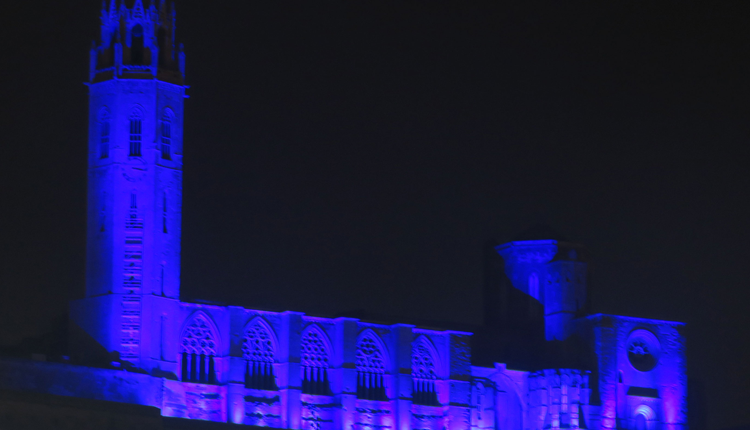 La Paeria, la Seu Vella i els ponts s’il·luminen de blau amb motiu del Dia Mundial de la Diabetis