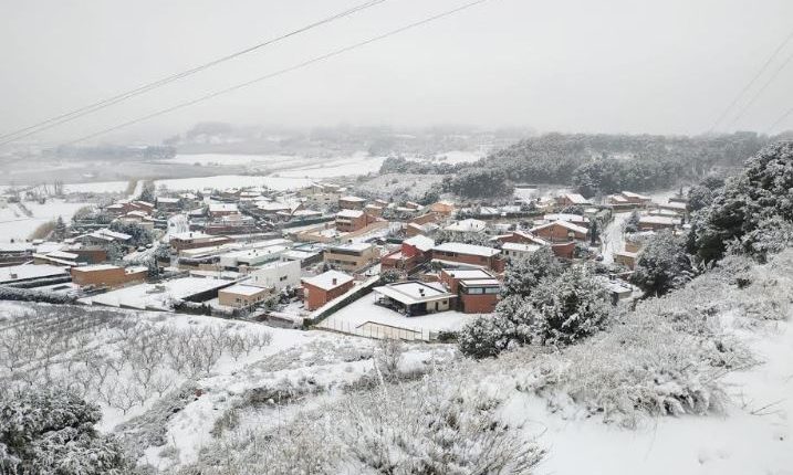 Imatges de la nevada "Filomena" a ALPICAT, LA GRANJA D'ESCARP, BENAVENT I MAIALS