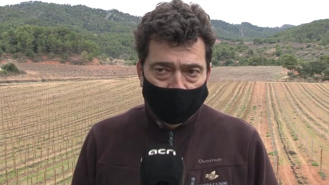 Els projectes de centrals eòliques i solars topen amb l'oposició de cellers i de comunitats de reg de Ponent