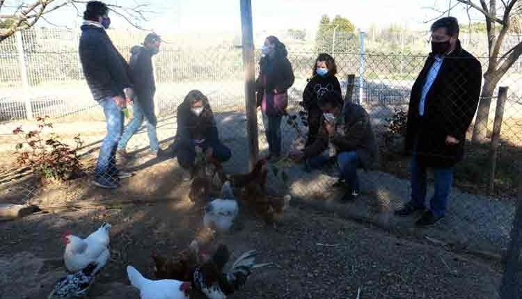 Engranja’t, la proposta per viure una experiència agrocultural a l’Horta
