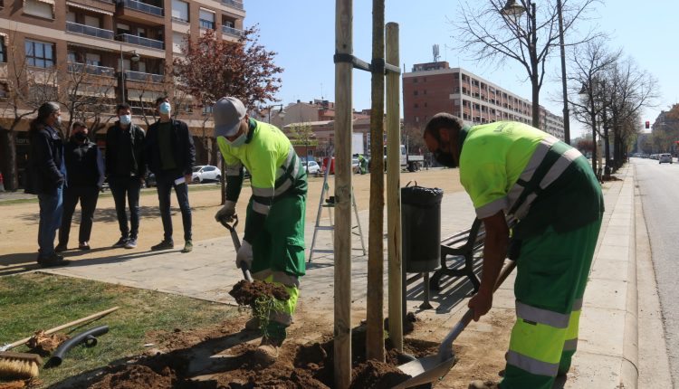 La rambla de Pardinyes, camí de transformar-se en un bosc urbà