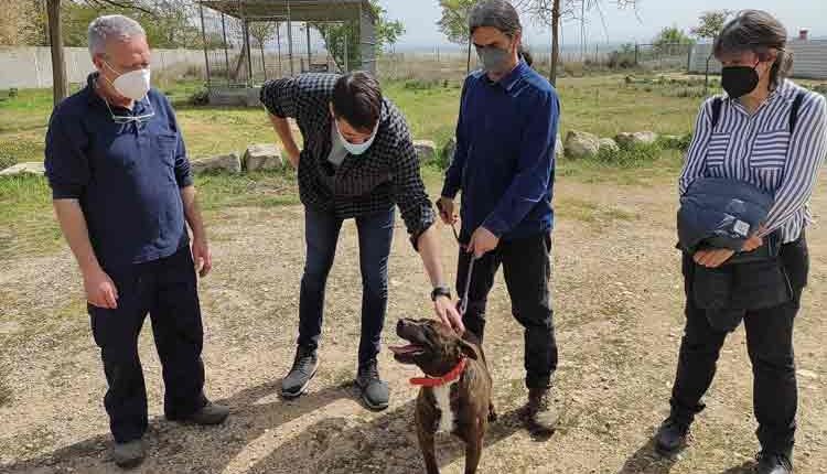 La Paeria millora el Refugi dels Peluts amb nou arbrat i àrees de lleure per al confort dels animals