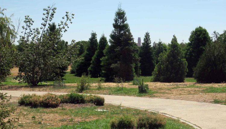 La Paeria recomana l’ús dels espais verds de la ciutat com a refugis climàtics durant les jornades més caloroses