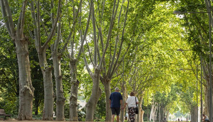 Lleida, entre les ciutats europees amb menys mortalitat atribuïble a la manca d’espais verds