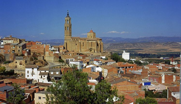 ALMENAR. 11 DE DESEMBRE. Mercat de Nadal i Lletra