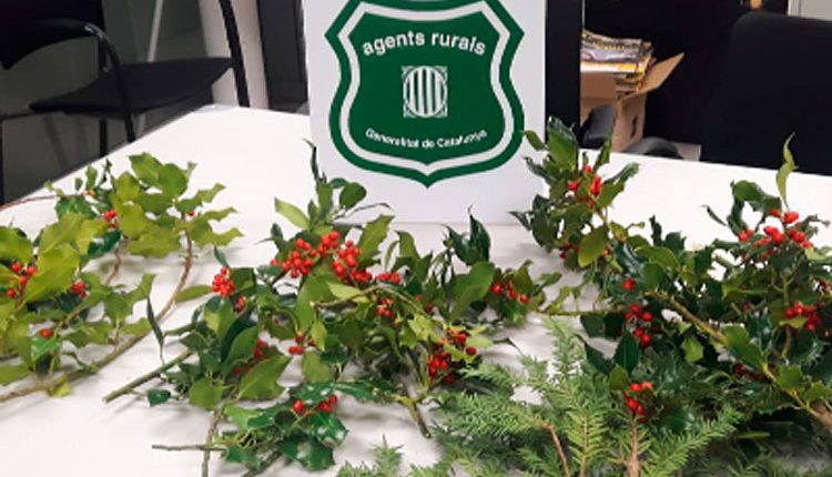 Els Agents Rurals demanen a la ciutadania gaudir del Nadal respectant el medi natural