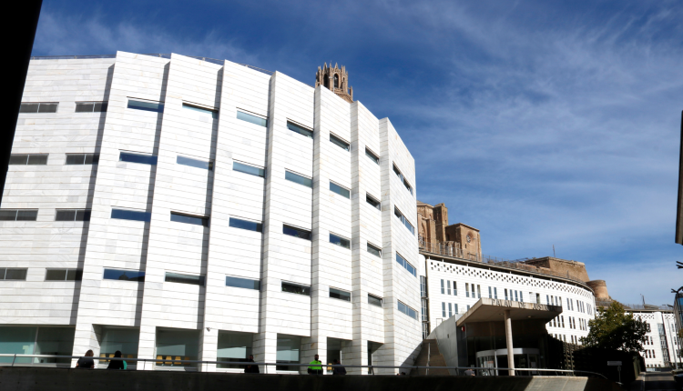 La mare de Hasel, citada a declarar, acusada d'organitzar la manifestació a Lleida per l'empresonament del seu fill