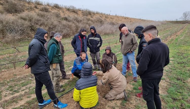 La DO Costers del Segre forma el seus cellers en la “poda de respecte”