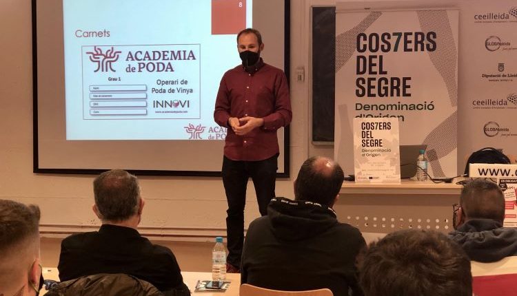 La DO Costers del Segre forma el seus cellers en la “poda de respecte”