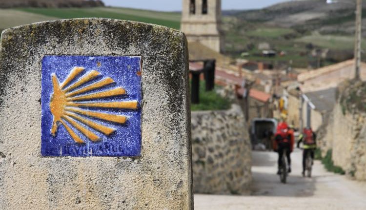 El Patronat de Promoció Econòmica de la Diputació de Lleida licita obres per un import de 1.358.344,79 €