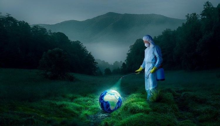 Solucionando las plagas primaverales