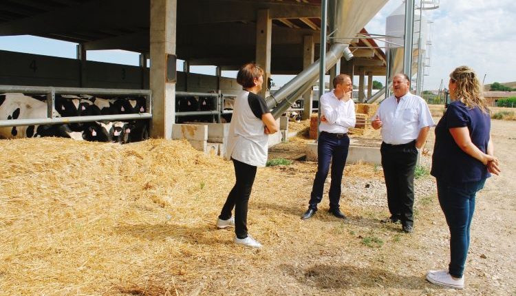 El subdelegat del Govern a Lleida, visita una de les granges de vedells del Grup Aragonés, empresa familiar situada a l’Horta de Lleida