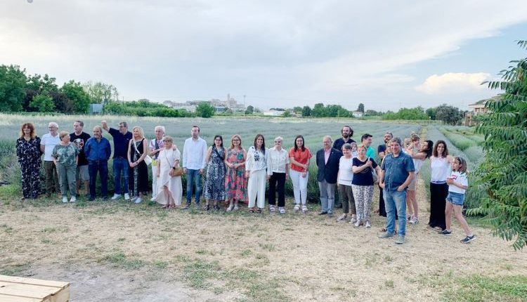 Inauguració de la 5a edició del programa de la Floració de la lavanda a Aromes de Can Rosselló