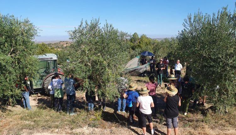 JORNADA DE PORTES OBERTES A OLICATESSEN. OLI D'OLIVA VERGE EXTRA ECOLÒGIC