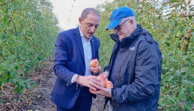 MIRALCAMP. Crespín visita finca Pink Lady a Miralcamp. Ministeri Agricultura destina 5,6 M€ a centrals fructícoles Catalunya per les gelades abril