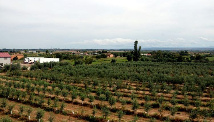 Unió de Pagesos demana replantejar el polígon Torreblanca-Quatre Pilans de Lleida perquè "no comprometi el sòl agrari"