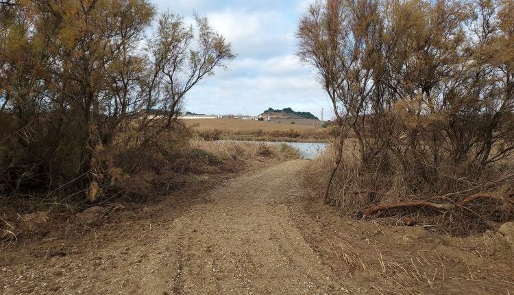 Ipcena denuncia les obres a l'entorn del pantà de l'Arròs dutes a terme per l'Ajuntament d'Alcarràs