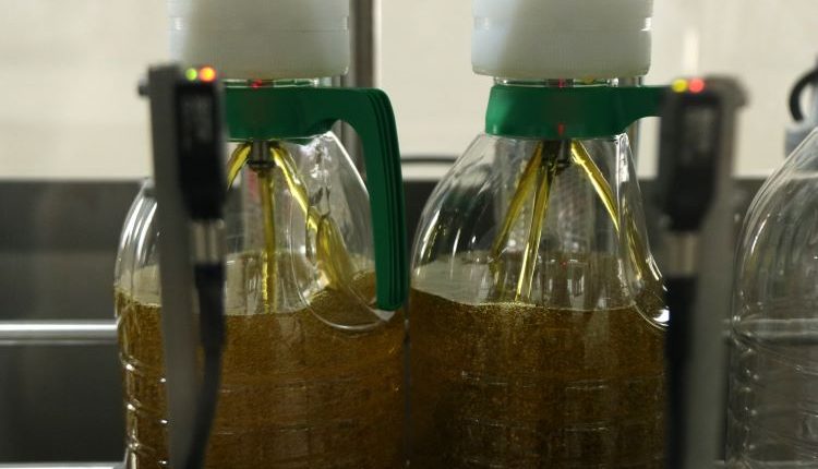 La producció final d'oli es desploma fins les 15.000 tones, per sota de les previsions en la pitjor campanya en 15 anys