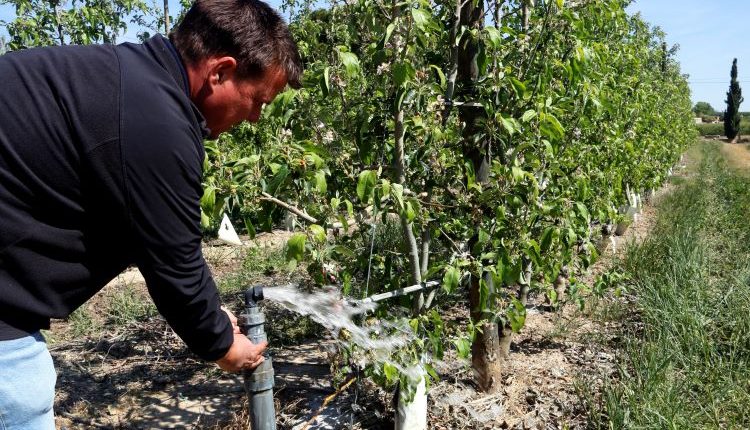 JARC avisa que si continuen les restriccions d'aigua no hi haurà aliments de proximitat