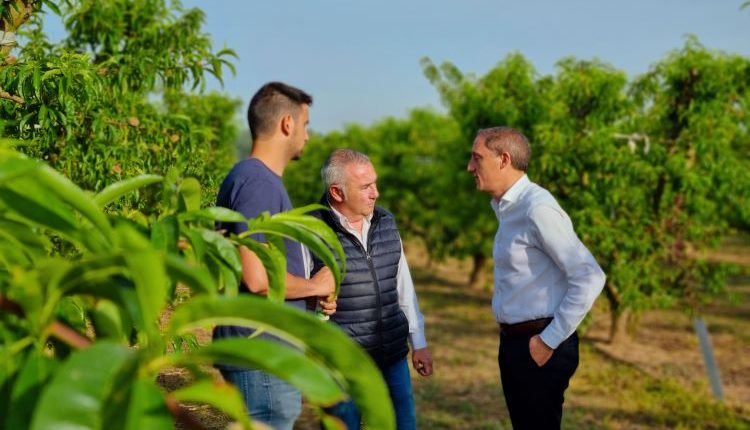 El subdelegat del Govern a Lleida  visita  una finca fructícola del terme municipal de Torres de Segre