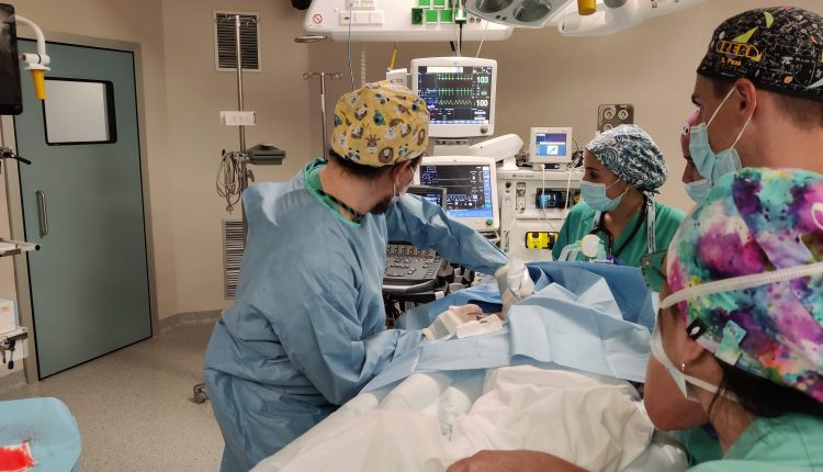 L'Hospital Arnau de Vilanova crea la nova Unitat Funcional d'Accés Vascular