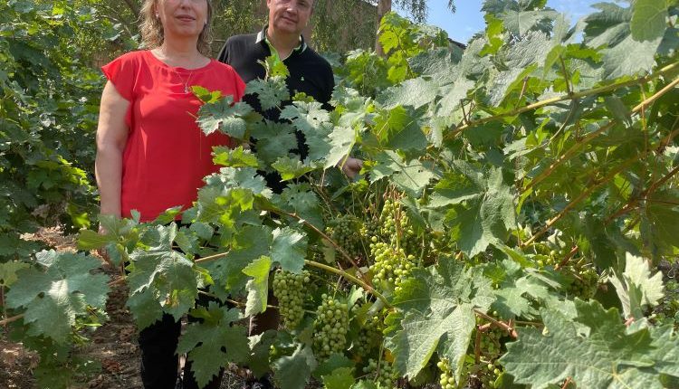 Premsa ESCHOTUR Lleida mira cap a l’enoturisme