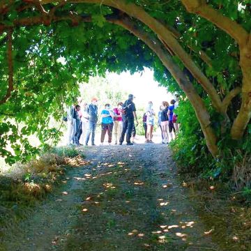 5a RUTA DE LA FLOR DE SANT JOAN A L'HORTA
