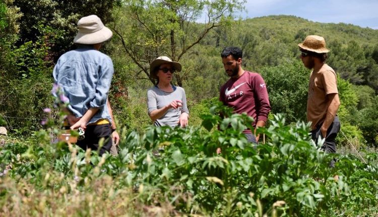 Academia Rústika da un paso hacia el futuro del sector agrario con Rústika Fundamental