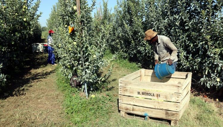 L'atur puja lleugerament a Ponent i a l'Alt Pirineu Aran al desembre