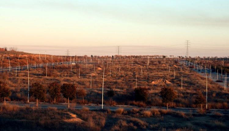 Zona de Torre Salses de Lleida on Eurofound i Frey projecten construir un parc comercial i d'oci.