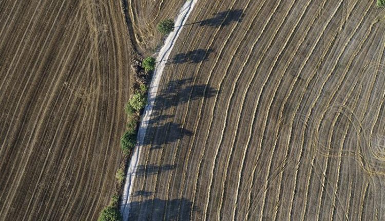 Parcel·les agrícoles catalanes recollides amb la DUN